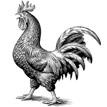 David Thodey grounds the Ramsay jet